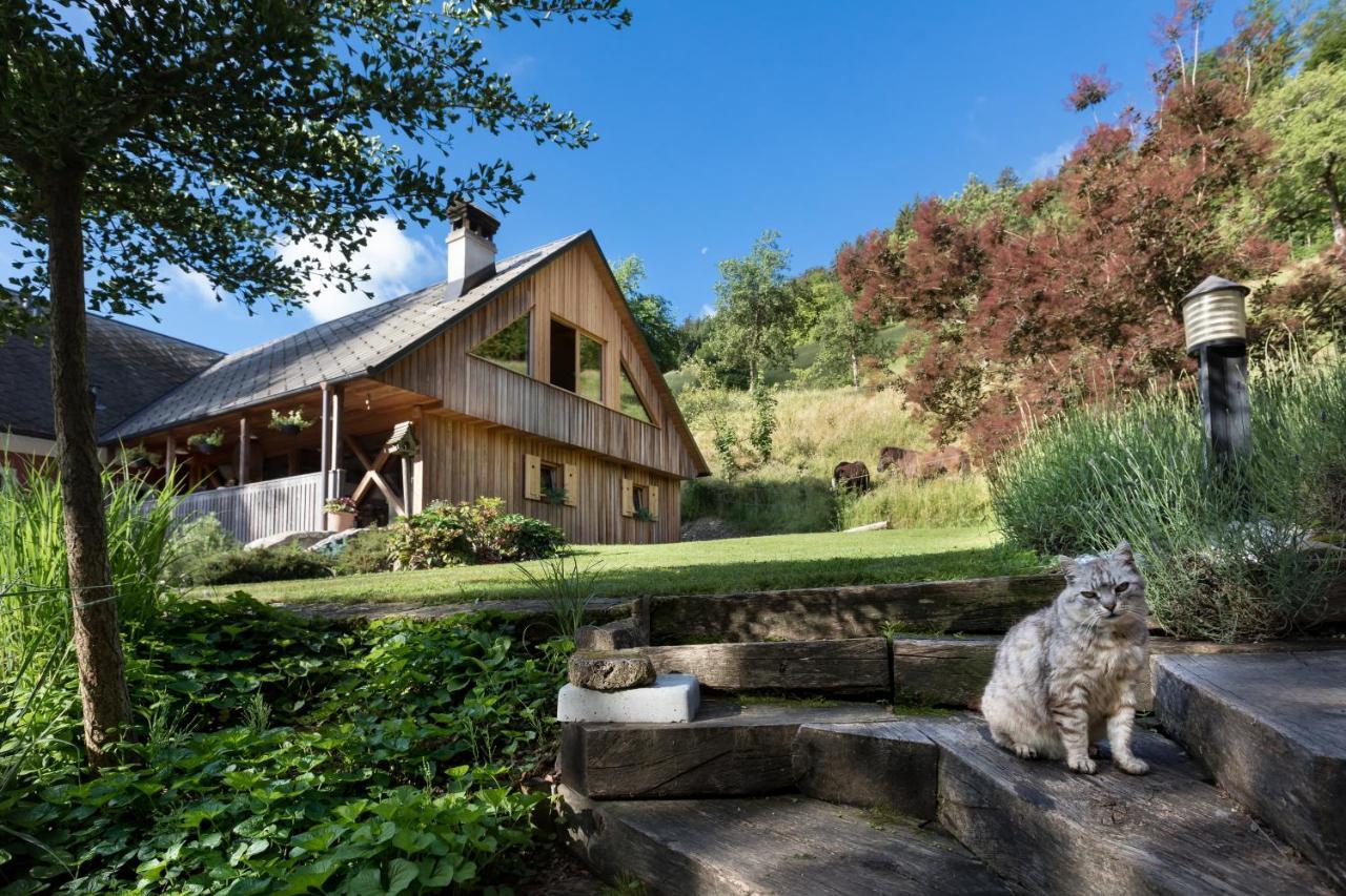 Homestead Farm Tesnak Gorenja Vas  Luaran gambar